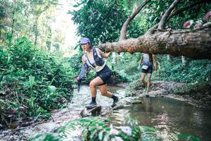 BIB: 
                            <button type="button" onclick="openModal(25433303)" class="btn btn-primary btn-sm float-right btn-popup" data-toggle="modal" data-target=".modal-high-quality">
                        <i class="fas fa-shopping-cart"></i> Add to Cart
                    </button>
                                            <button type="button" onclick="isThisMe(25433303, true)" class="btn btn-success btn-sm float-right btn-popup btn-isme hidden" data-toggle="tooltip" data-placement="bottom" title="นี่คือรูปของคุณใช่ไหม คลิกที่นี่เพื่อเอาเข้าอัลบั้ม">
                        <i class="fas fa-plus"></i> Add to album
                    </button>
                    <button type="button" onclick="isThisMe(25433303, false)" class="btn btn-warning btn-sm float-right btn-popup btn-isnotme hidden">
                        <i class="fas fa-ban"></i> Remove from album
                    </button>